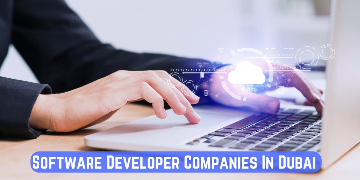 Software Developer Companies In Dubai