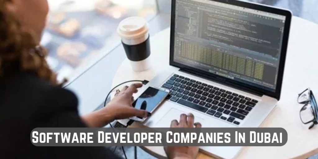 Software Developer Companies In Dubai 