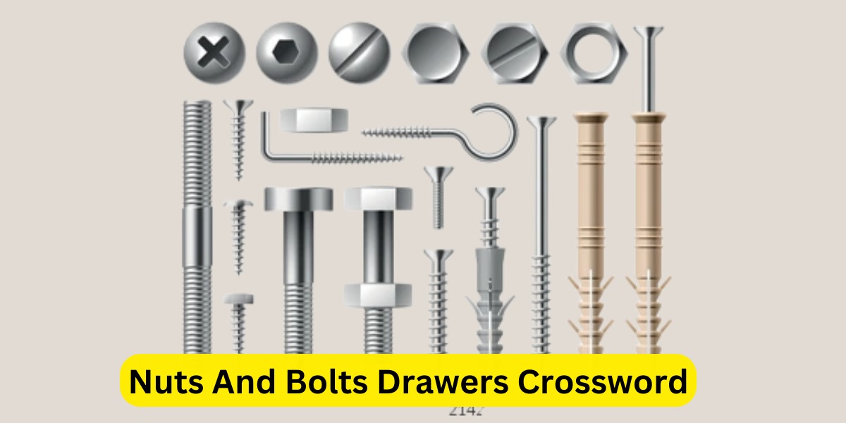 Nuts And Bolts Drawers Crossword